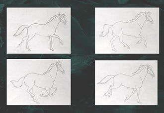 STORYBOARD